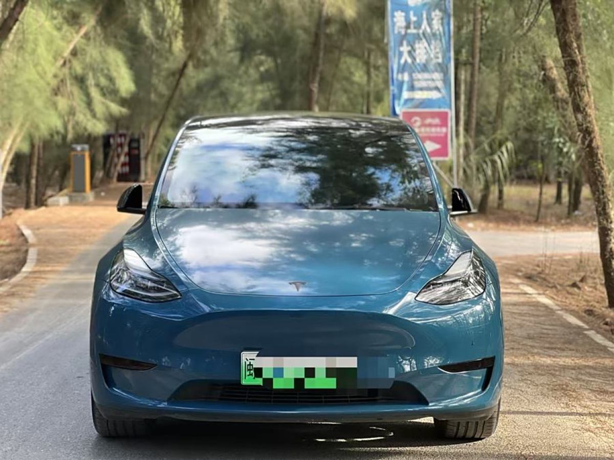 特斯拉 Model Y  2022款 后輪驅(qū)動版圖片