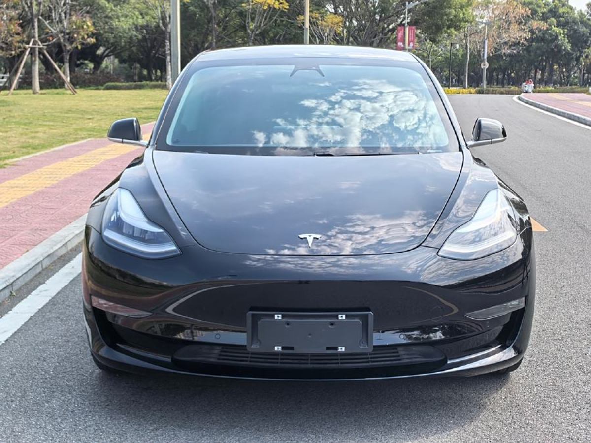 2020年4月特斯拉 Model 3  2020款 改款 標準續(xù)航后驅(qū)升級版