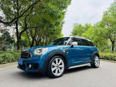 2019年6月 MINI COUNTRYMAN 2.0T COOPER S ALL4 藝術(shù)家圖片