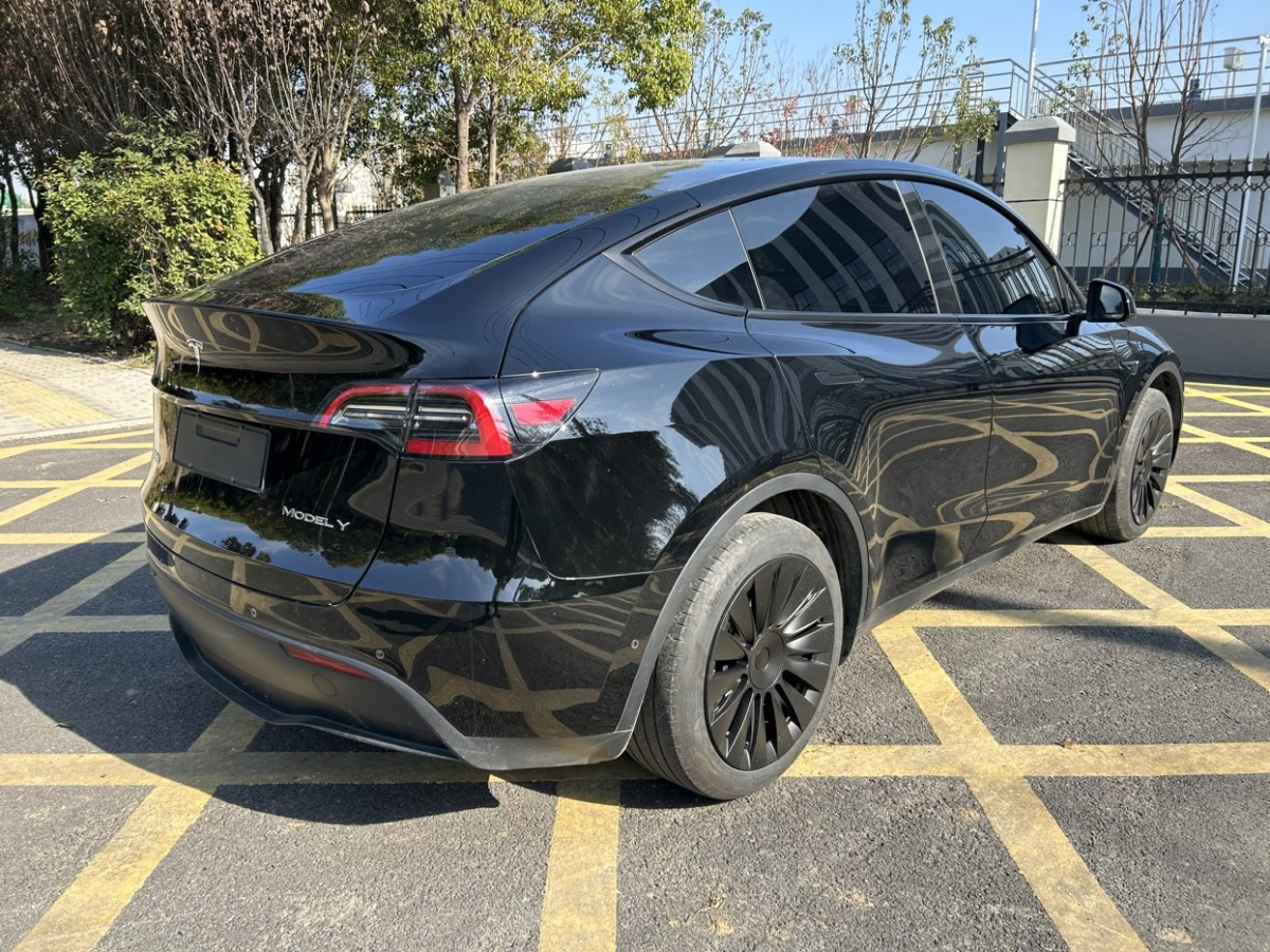 特斯拉 Model Y  2024款 后輪驅(qū)動版圖片