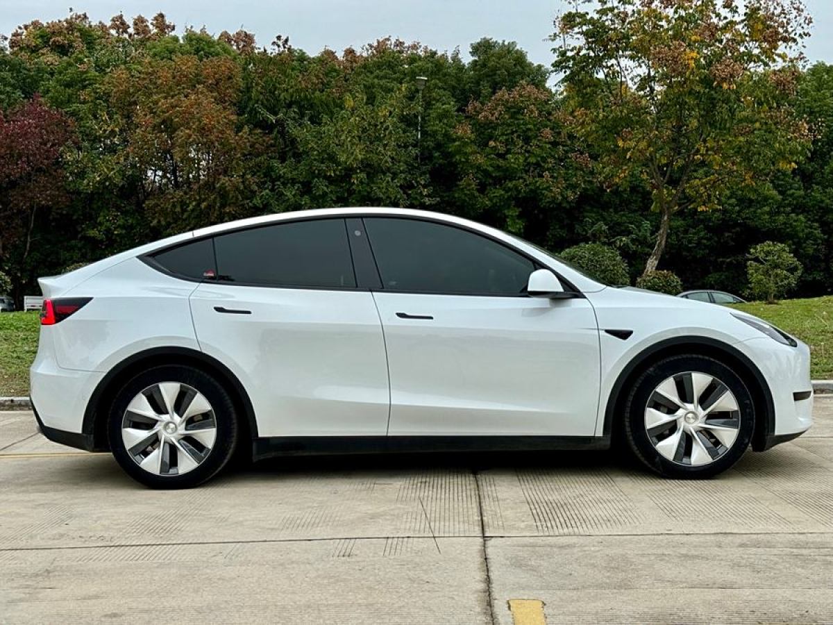 特斯拉 Model 3  2020款 改款 長(zhǎng)續(xù)航后輪驅(qū)動(dòng)版圖片