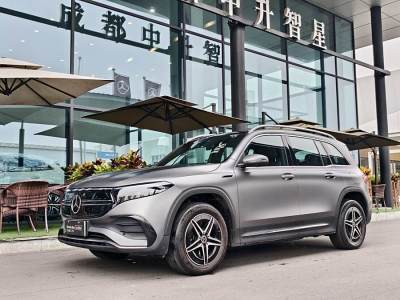 2022年1月 奔馳 奔馳EQB EQB 350 4MATIC 首發(fā)特別版圖片