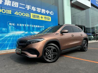 2022年1月 奔馳 奔馳EQA EQA 300 4MATIC 首發(fā)特別版圖片