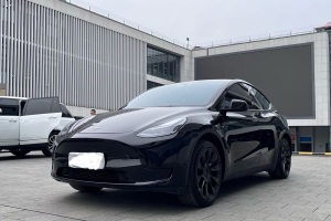 Model Y 特斯拉 后輪驅(qū)動版