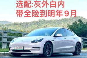 Model 3 特斯拉 Performance高性能全轮驱动版