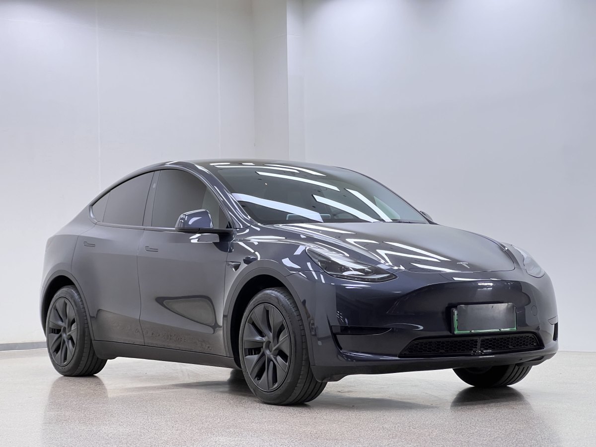 特斯拉 Model 3  2020款 改款 長(zhǎng)續(xù)航后輪驅(qū)動(dòng)版圖片