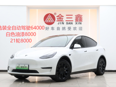 2021年6月 特斯拉 Model Y 2021款 Model Y 长续航全轮驱动版 3D7图片