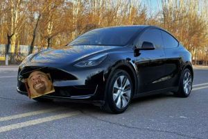 Model Y 特斯拉 后驅(qū)版