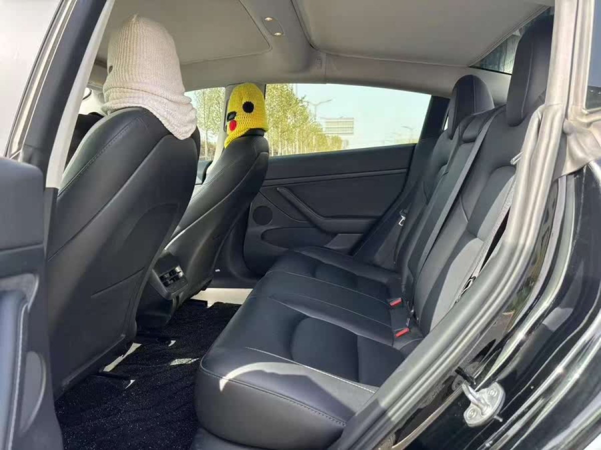 特斯拉 Model 3  2022款 后輪驅(qū)動版圖片