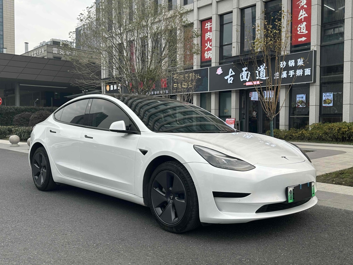 特斯拉 Model 3  2021款 標(biāo)準(zhǔn)續(xù)航后驅(qū)升級版 3D6圖片