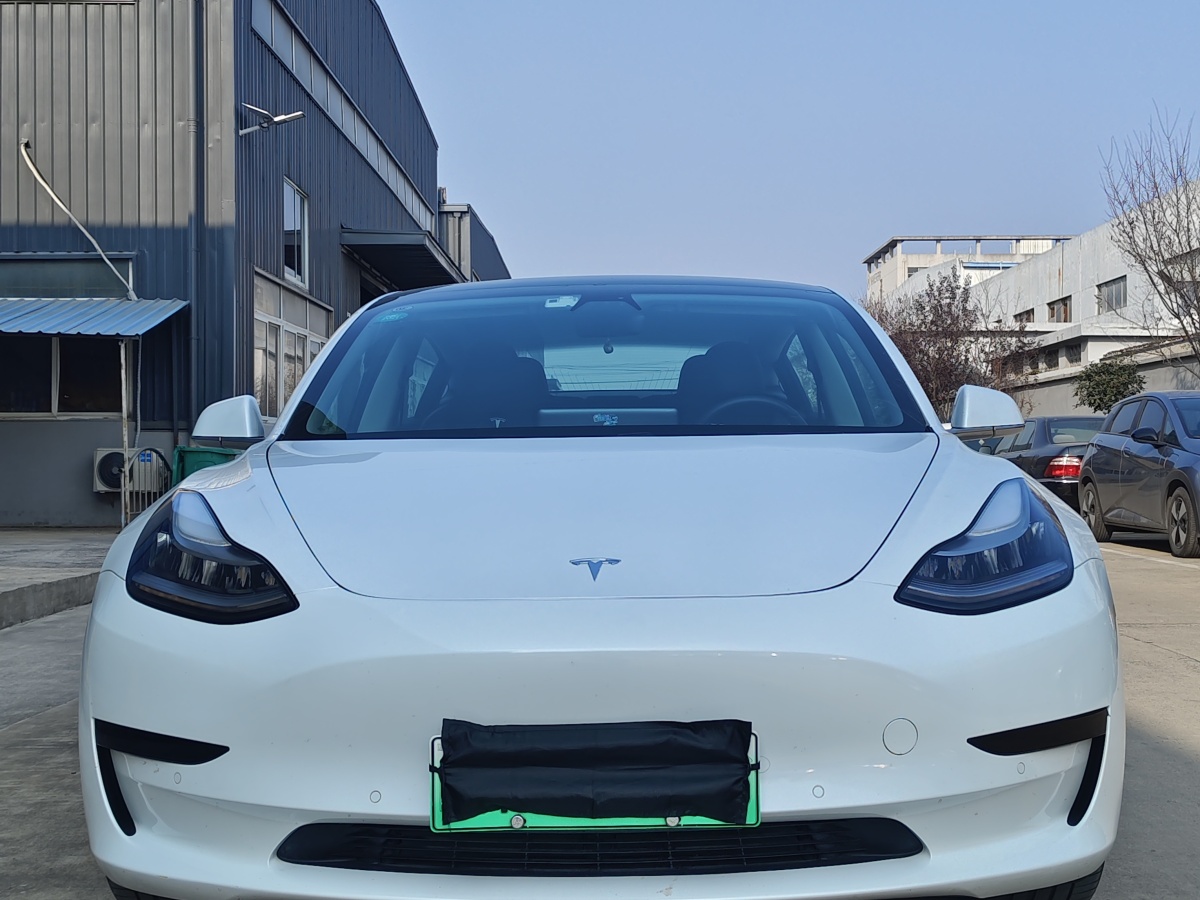 特斯拉 Model 3  2019款 標(biāo)準(zhǔn)續(xù)航后驅(qū)升級版圖片