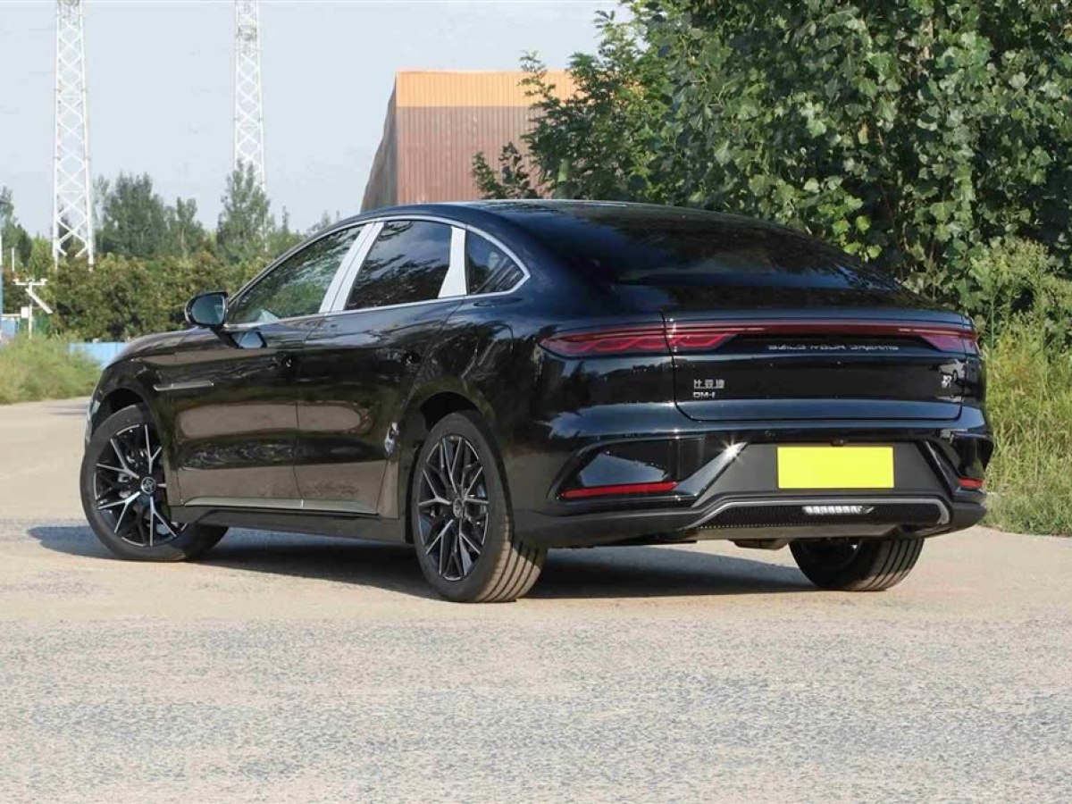 比亞迪 漢  2025款 DM-i 125KM尊榮型圖片