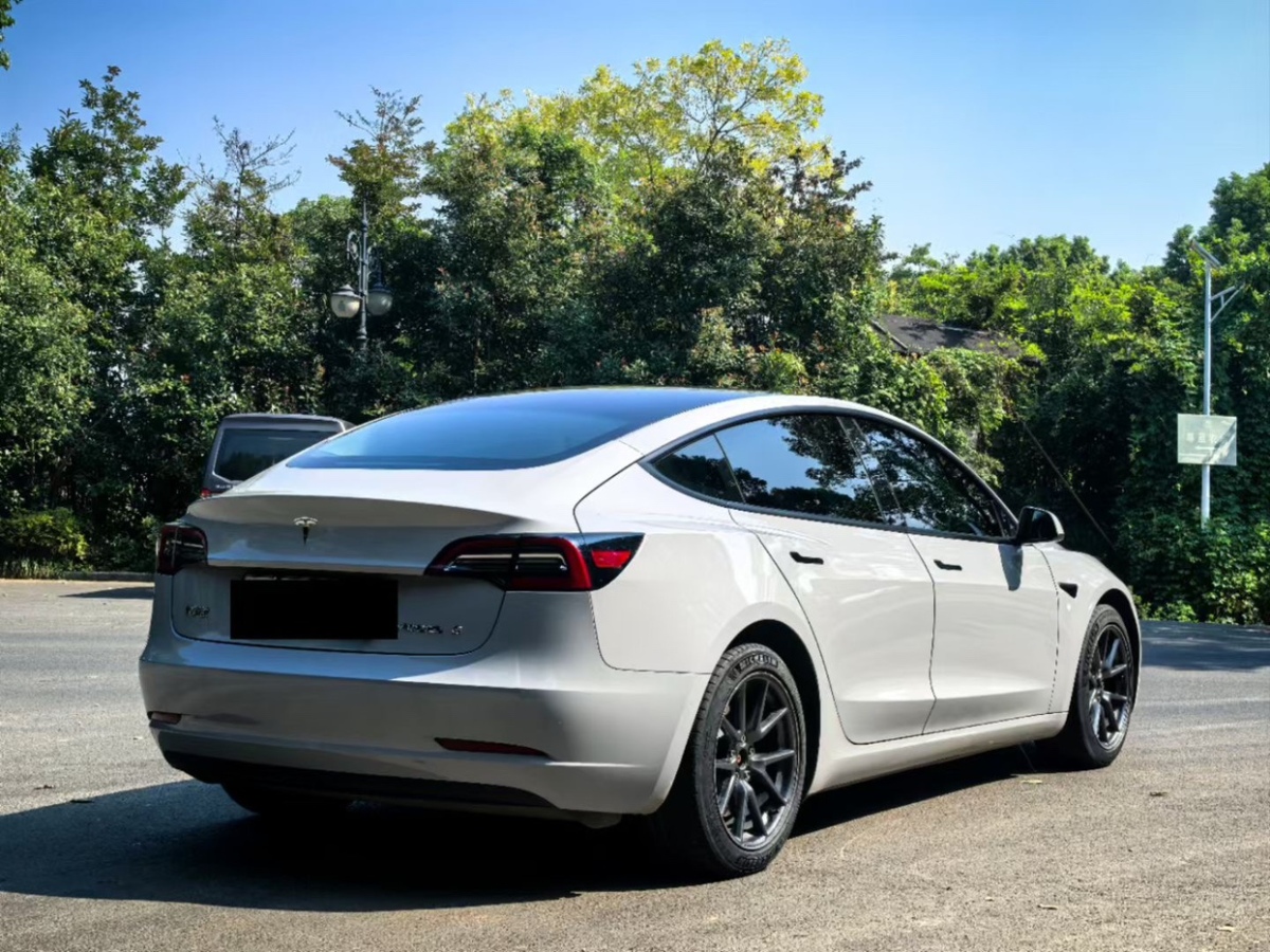 特斯拉 Model Y  2021款 標(biāo)準(zhǔn)續(xù)航后驅(qū)升級版圖片