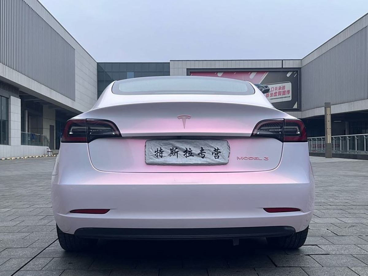 特斯拉 Model Y  2020款 改款 標準續(xù)航后驅(qū)升級版圖片