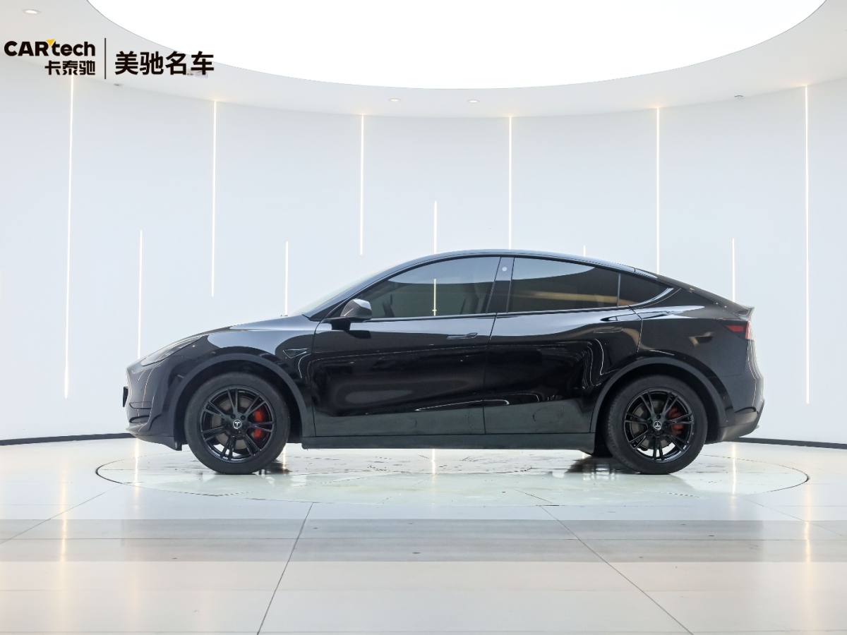 特斯拉 Model Y  2020款 Performance高性能全輪驅(qū)動版圖片