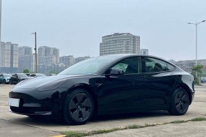 Model 3 特斯拉 改款 標(biāo)準(zhǔn)續(xù)航后驅(qū)升級版