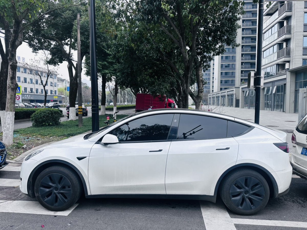 特斯拉 Model Y  2024款 后輪驅(qū)動(dòng)版圖片