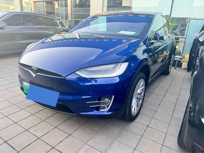 2019年2月 特斯拉 Model X Model X 75D图片