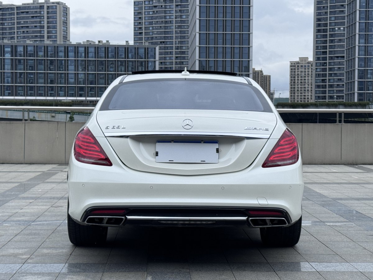 奔馳 奔馳S級(jí)AMG  2014款 AMG S 65 L圖片