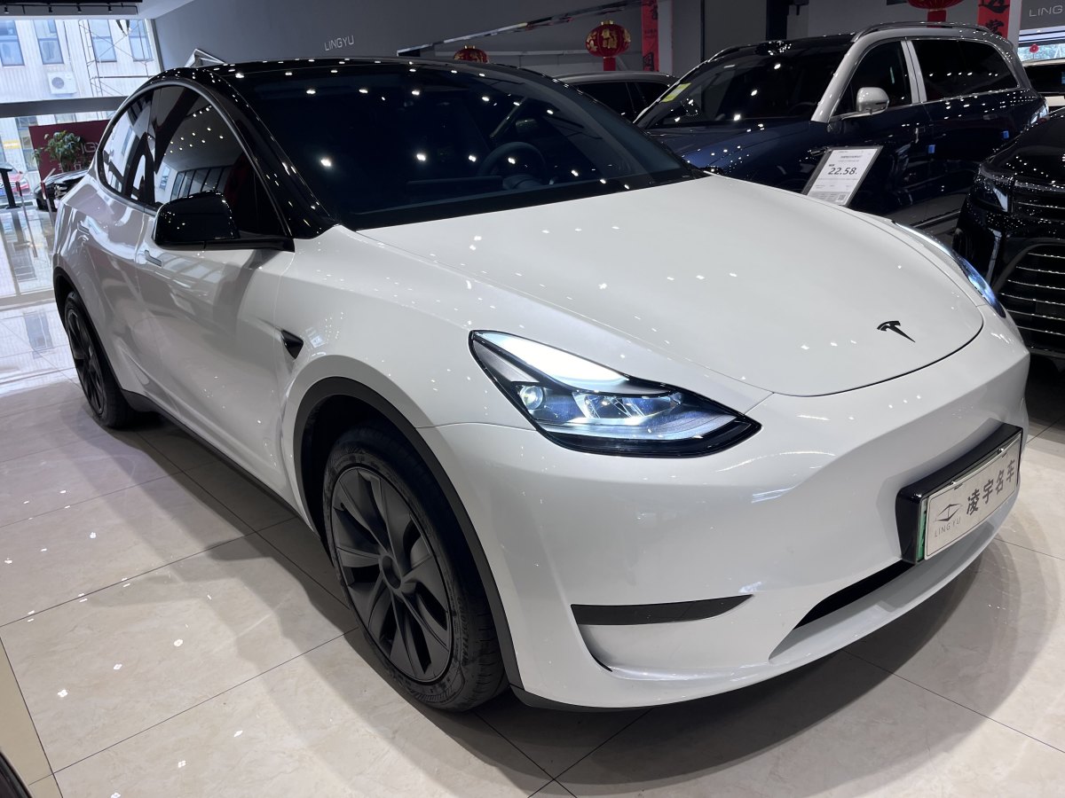 特斯拉 Model Y  2020款 改款 長(zhǎng)續(xù)航后輪驅(qū)動(dòng)版圖片