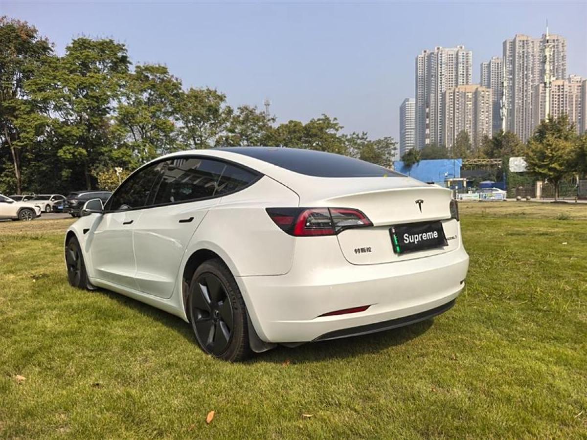 特斯拉 Model 3  2022款 改款 后輪驅(qū)動版圖片