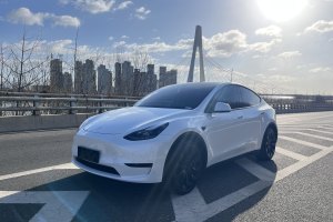 Model 3 特斯拉 改款 長續(xù)航后輪驅(qū)動版