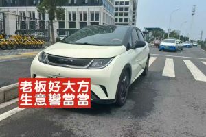 海豚 比亞迪 401km 騎士版