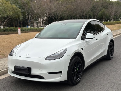 特斯拉 Model Y 后輪驅(qū)動(dòng)版圖片