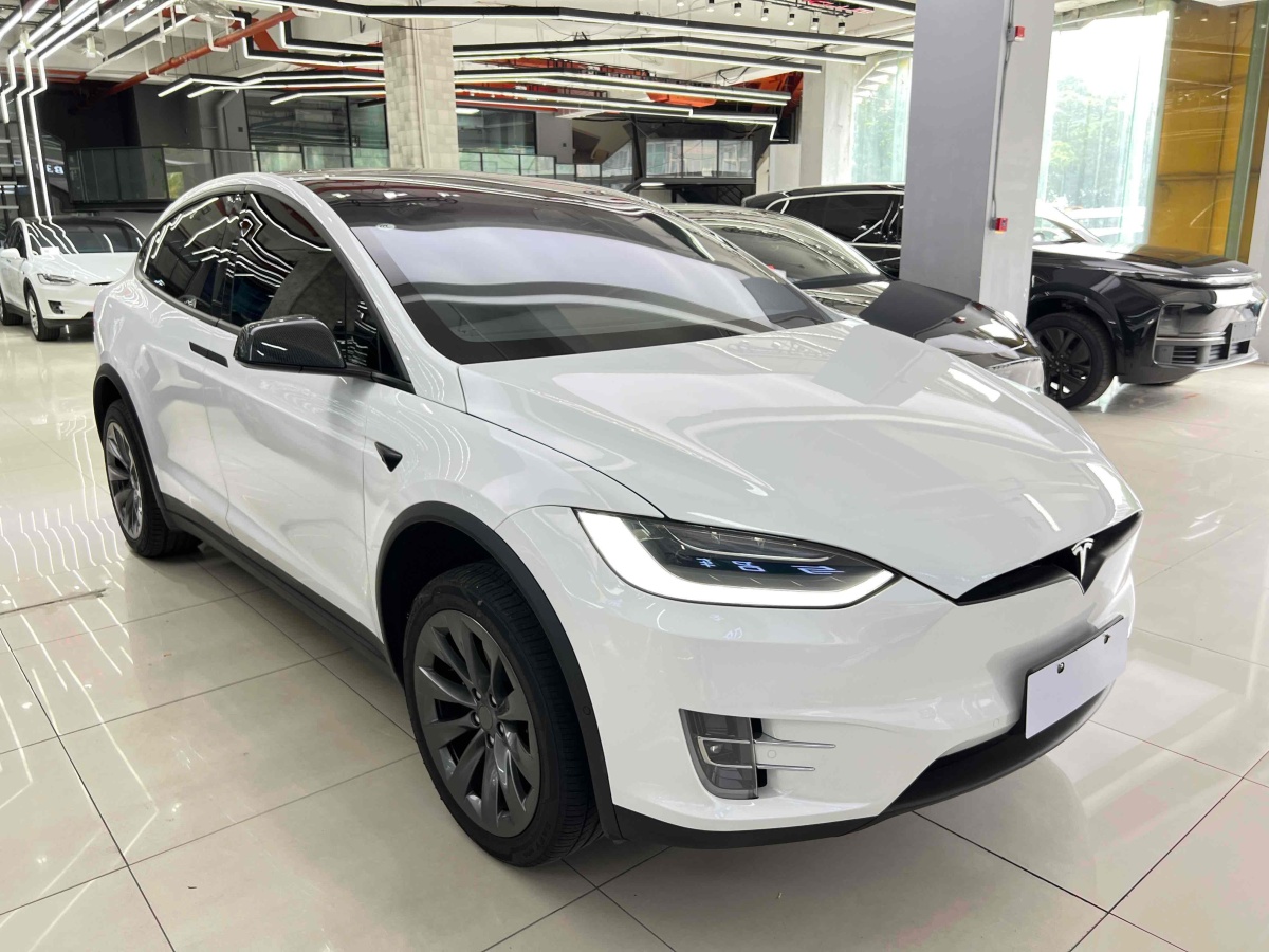 特斯拉 Model X  2019款 長(zhǎng)續(xù)航版圖片