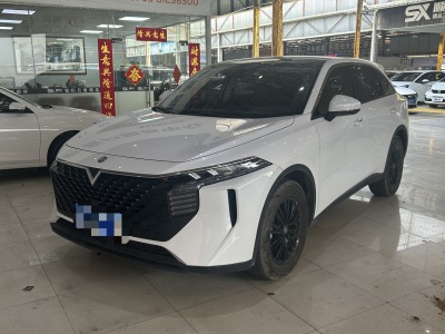 2022年2月 啟辰 啟辰大V 260T 愛(ài)豆版圖片