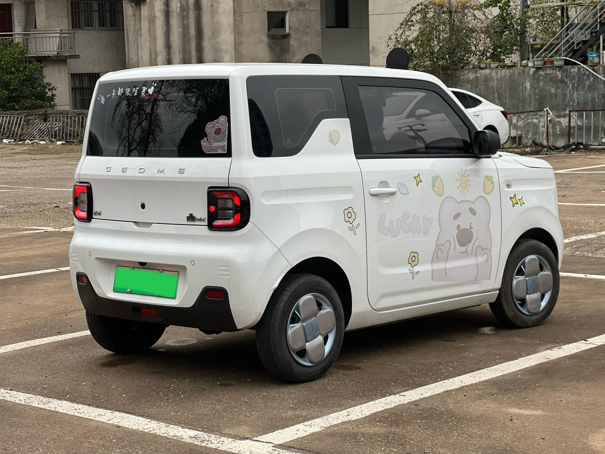 2023年3月吉利 熊貓mini  2023款 200km 耐力熊