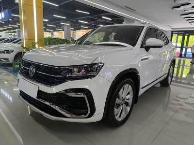 2021年1月 大众 探岳X 330TSI 两驱尊贵智联版图片