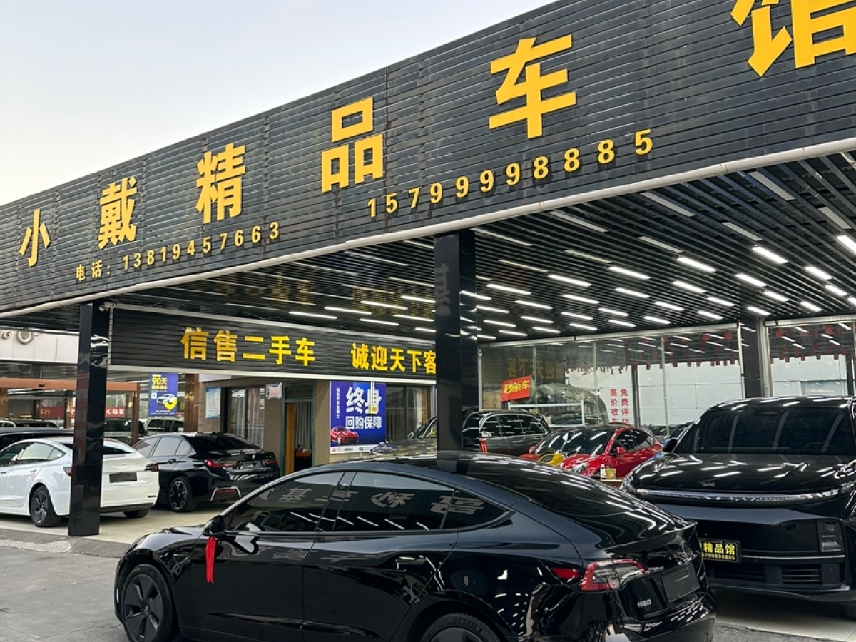 特斯拉 Model 3  2021款 標準續(xù)航后驅(qū)升級版圖片