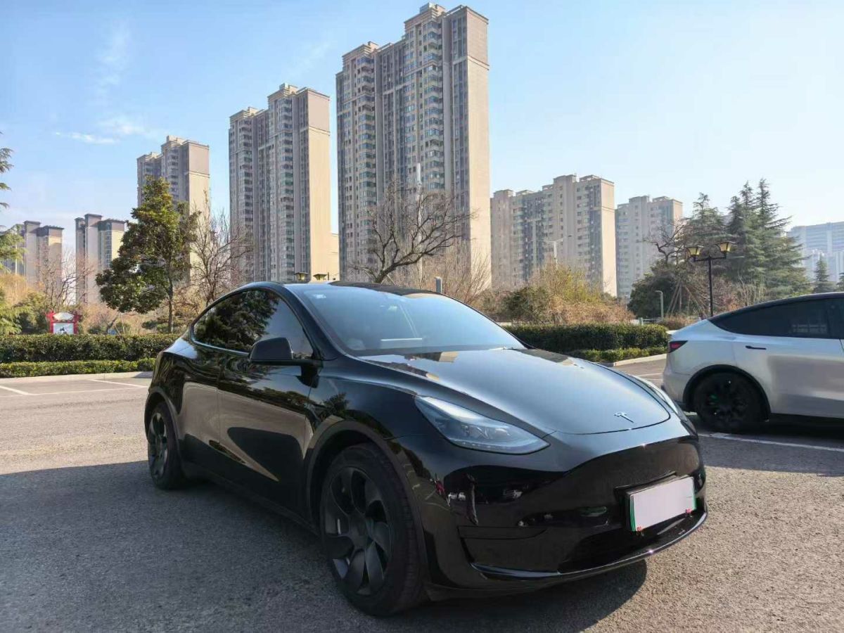 特斯拉 Model Y  2022款 后驅(qū)版圖片