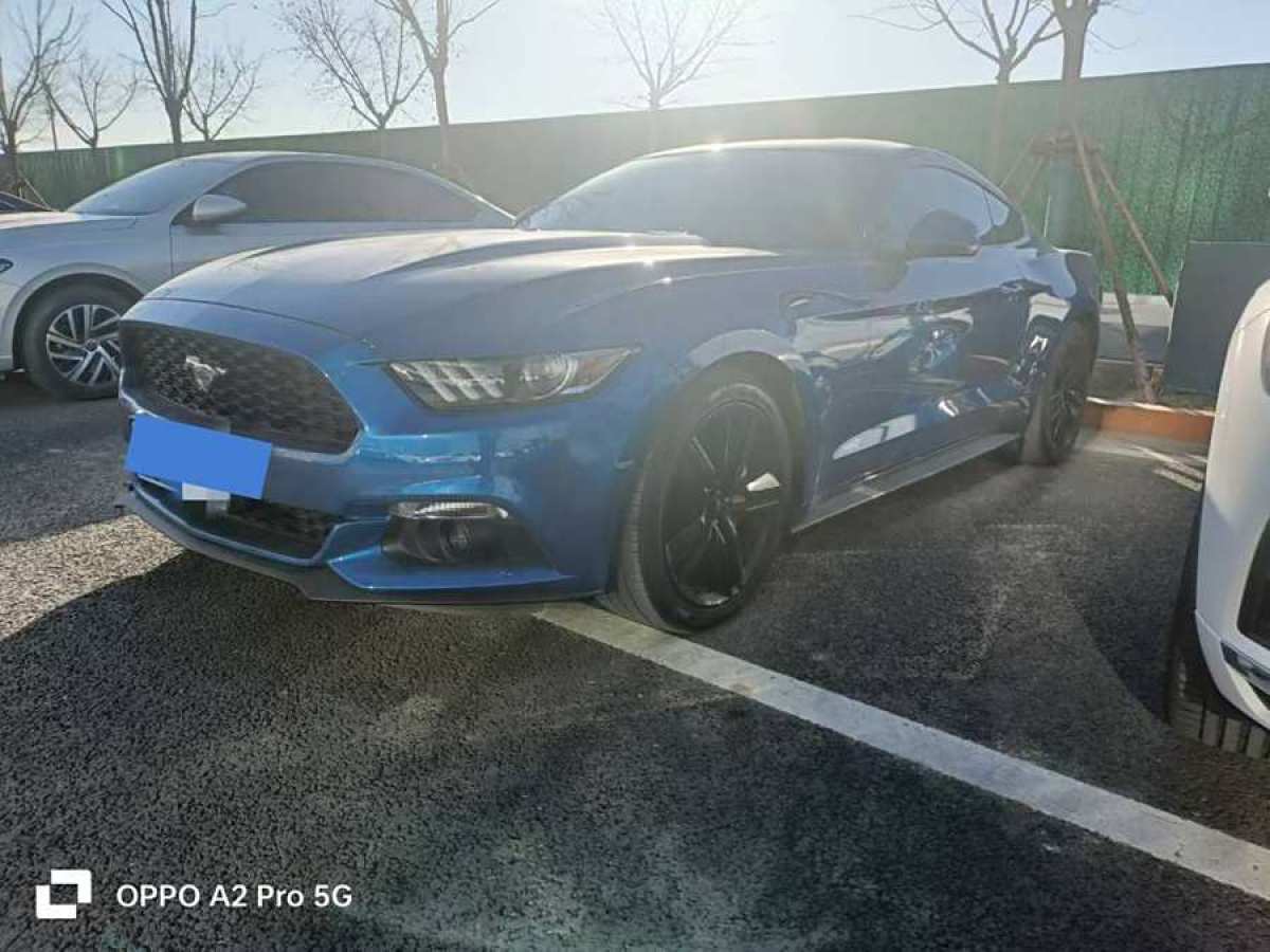 福特 Mustang  2015款 2.3T 性能版圖片