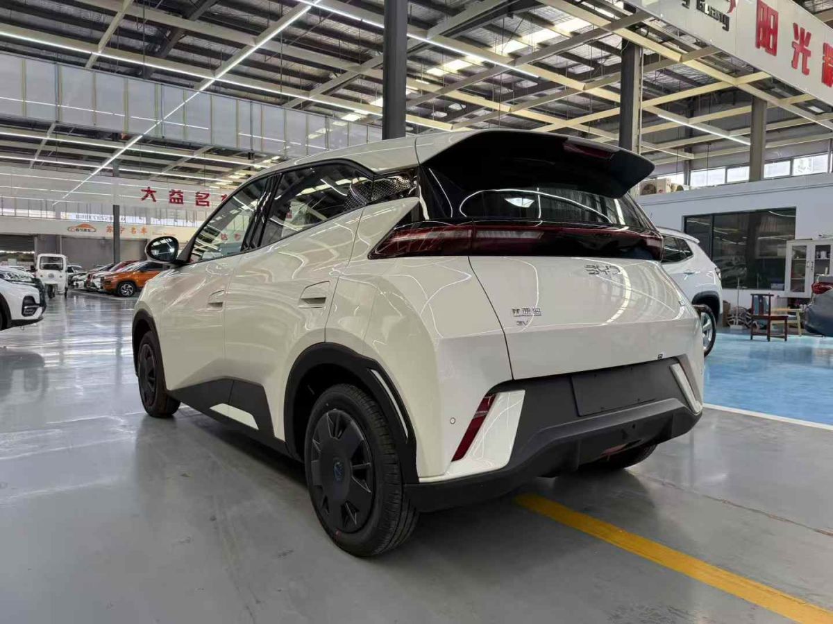 比亞迪 海鷗  2025款 305km 活力版圖片