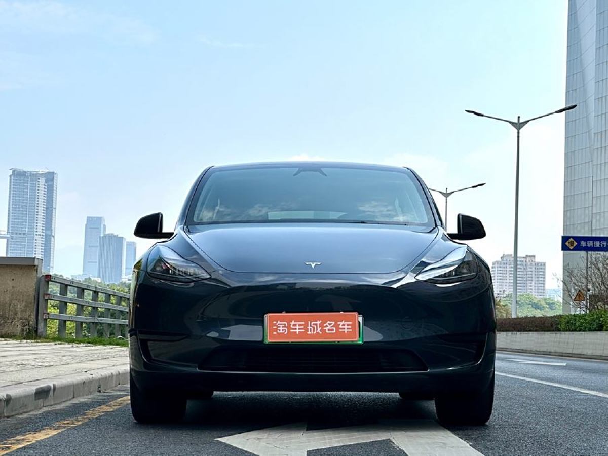 特斯拉 Model Y  2020款 改款 長續(xù)航后輪驅(qū)動(dòng)版圖片