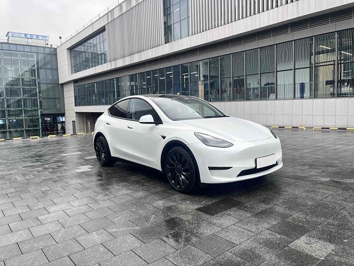 特斯拉 Model 3  2021款 改款 Performance高性能全輪驅(qū)動版圖片