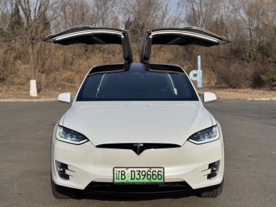 2018年10月 特斯拉 Model X Model X 100D 長續(xù)航版圖片