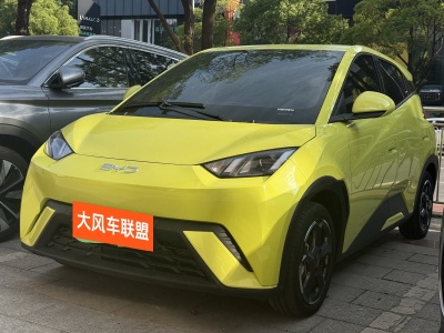 2024年6月 比亞迪 海鷗 飛翔版圖片