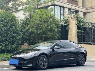 2021年4月 特斯拉 Model Y 改款 標(biāo)準(zhǔn)續(xù)航后驅(qū)升級版圖片