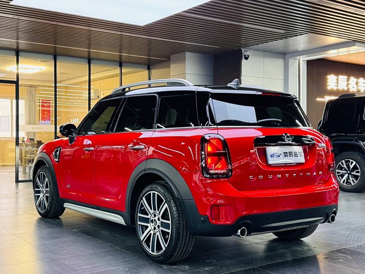 MINI COUNTRYMAN  2019款 2.0T COOPER S ALL4 藝術(shù)家圖片