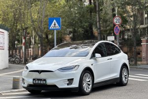 Model X 特斯拉 Model X 60D