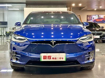 2017年1月 特斯拉 Model X Model X 60D圖片