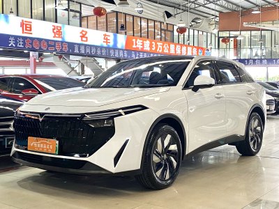 2023年8月 启辰 启辰大V DD-i超混动 110km iE版图片