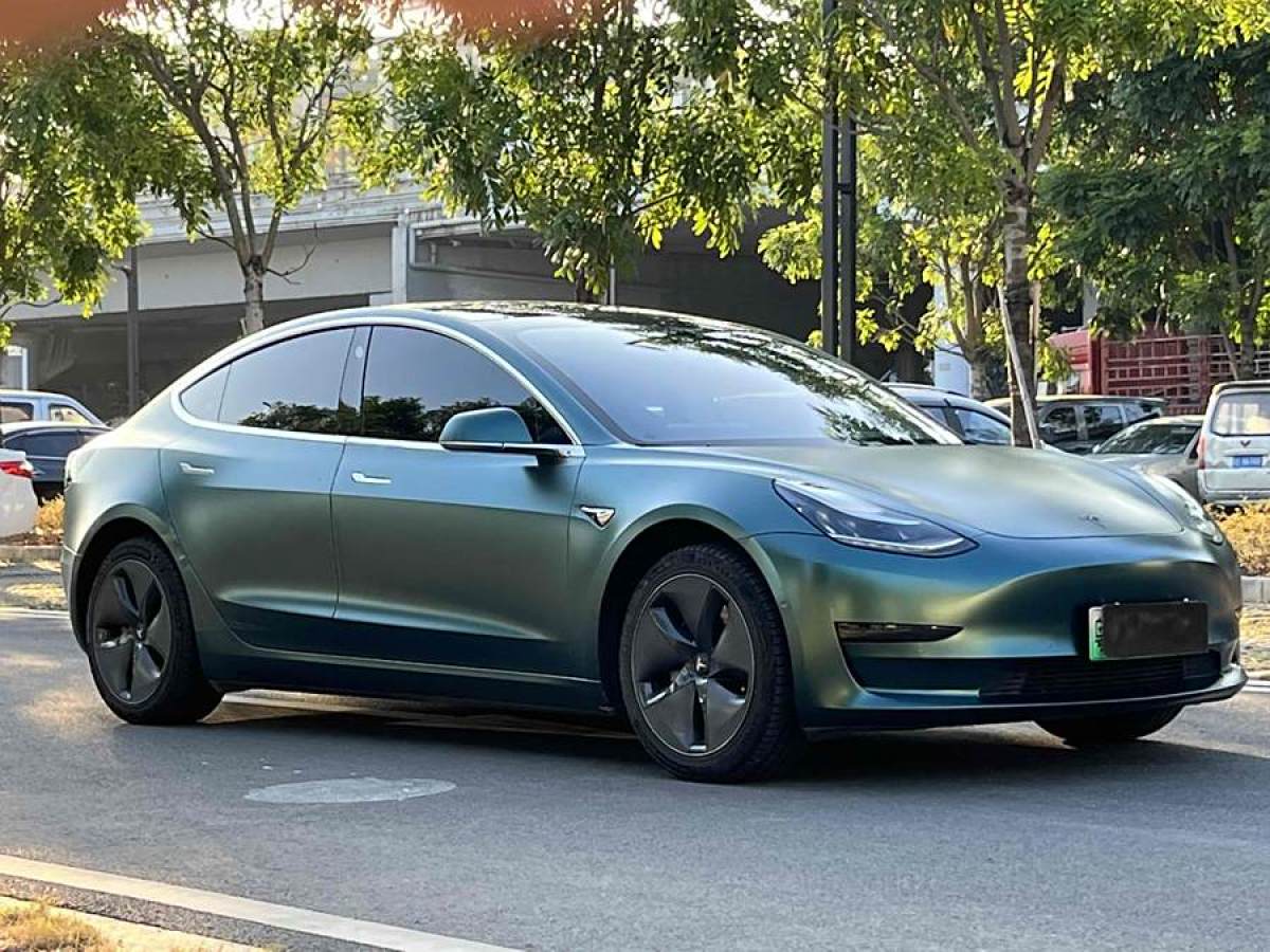 特斯拉 Model 3  2019款 標(biāo)準(zhǔn)續(xù)航后驅(qū)升級版圖片