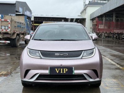 2023年6月 比亞迪 海豚 420km 時(shí)尚版圖片