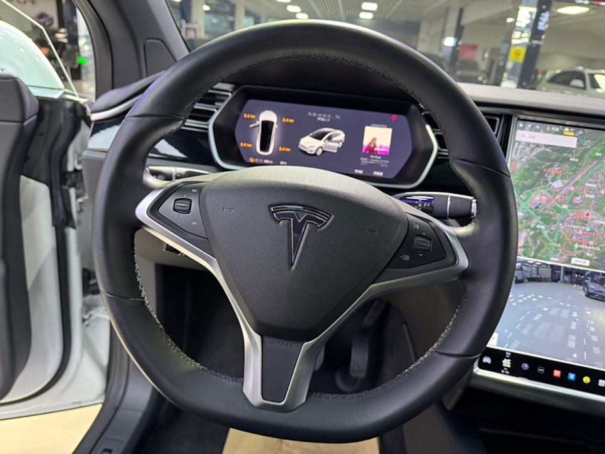 特斯拉 Model X  2016款 Model X 75D圖片