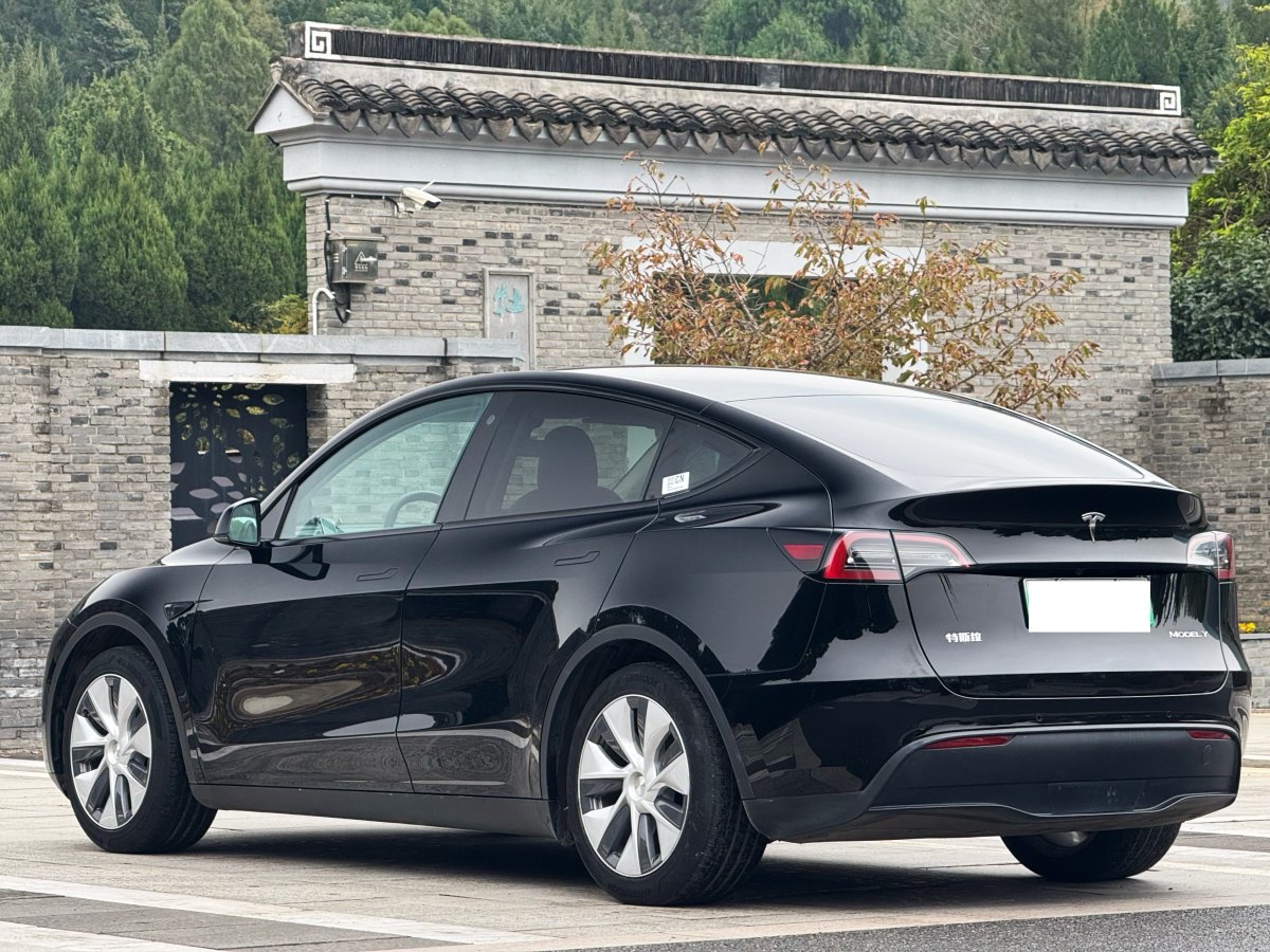 特斯拉 Model 3  2022款 后輪驅(qū)動版圖片