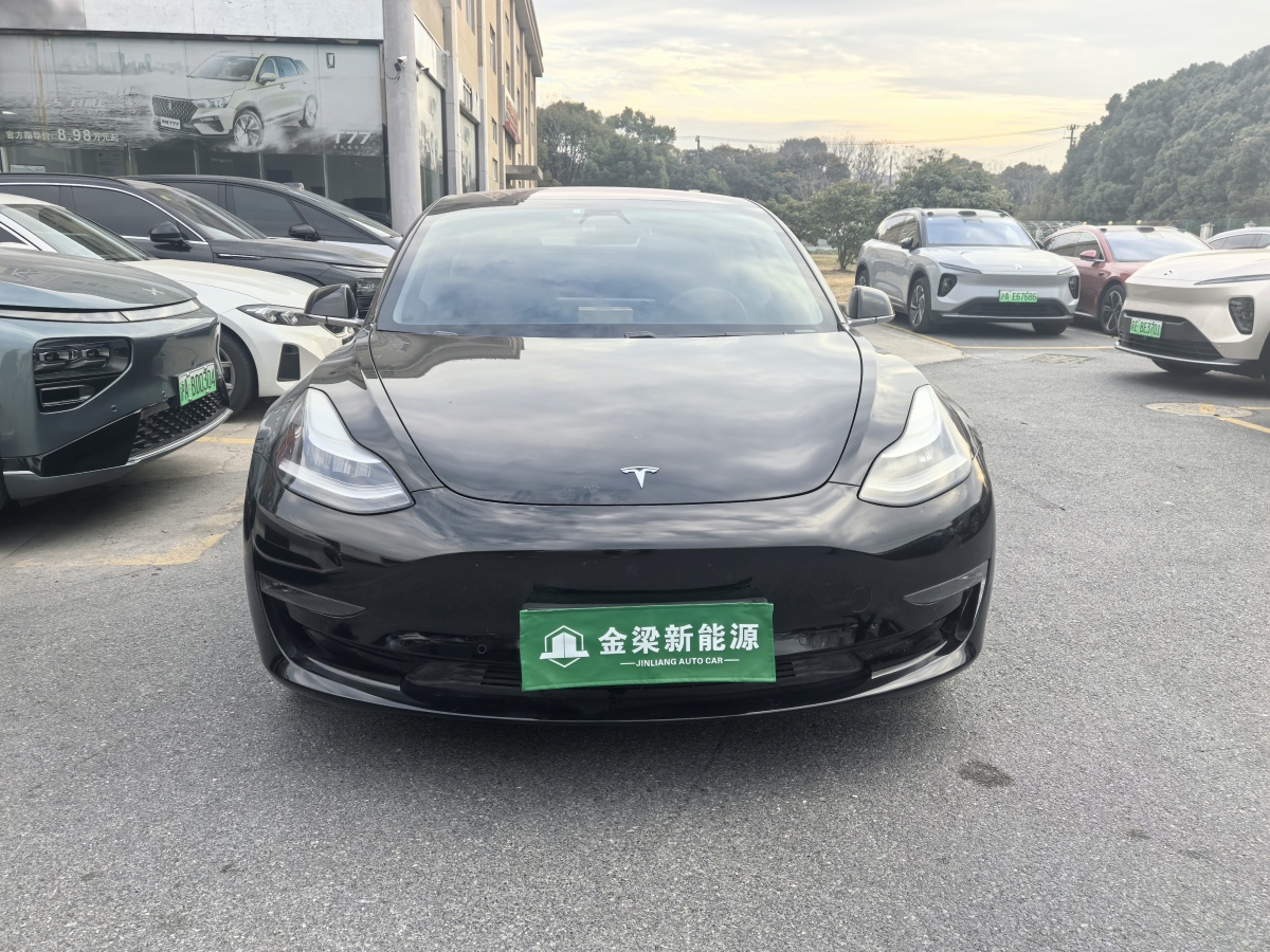 特斯拉 Model 3  2019款 長續(xù)航后驅(qū)版圖片